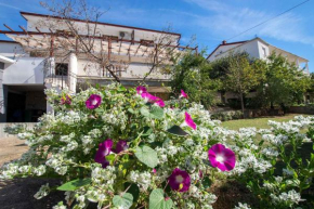 Apartments in Starigrad-Paklenica 6849